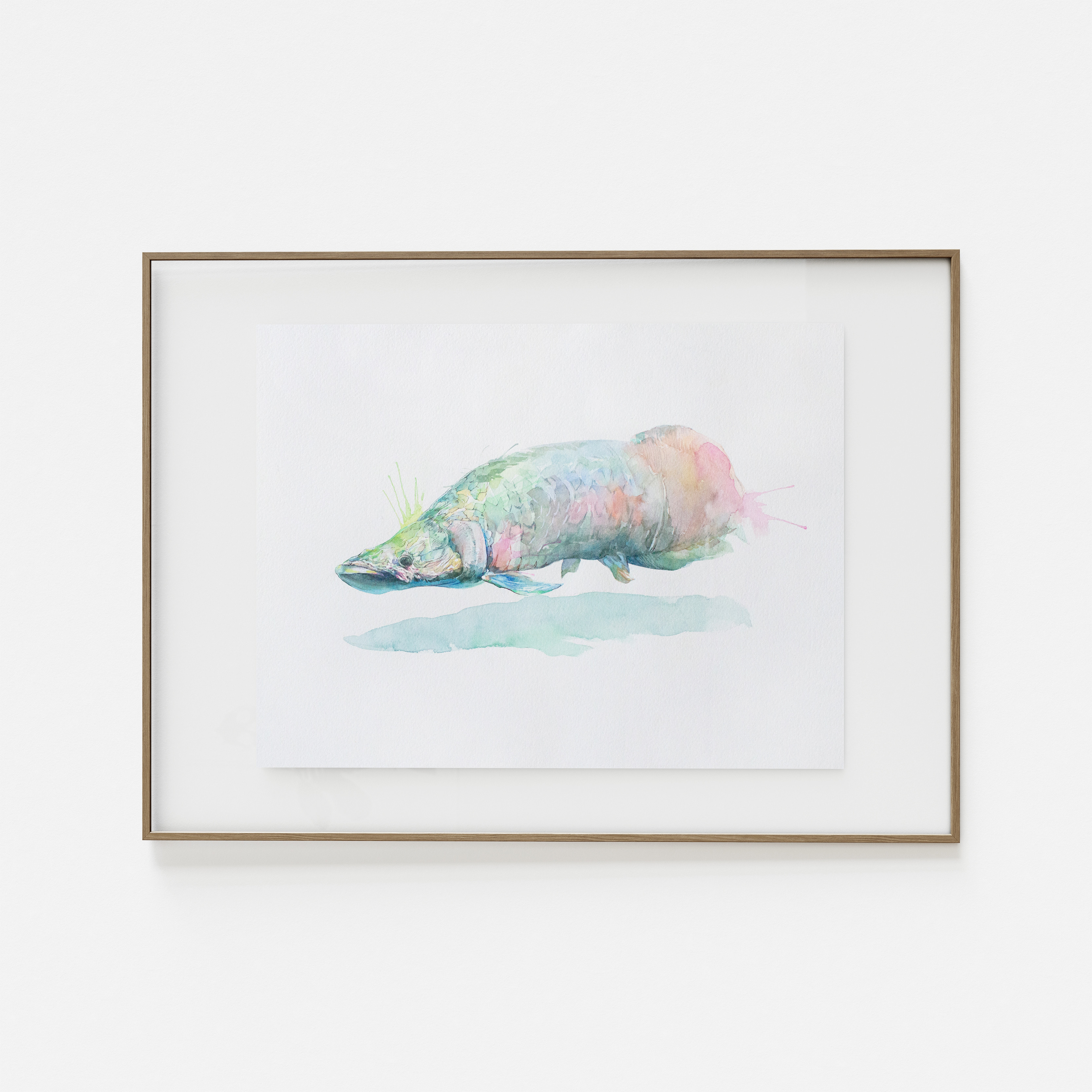 アロワナ　アクリルガッシュ　イラストレーション　絵画 アロワナ アクリルガッシュ イラストレーション 絵画 名作