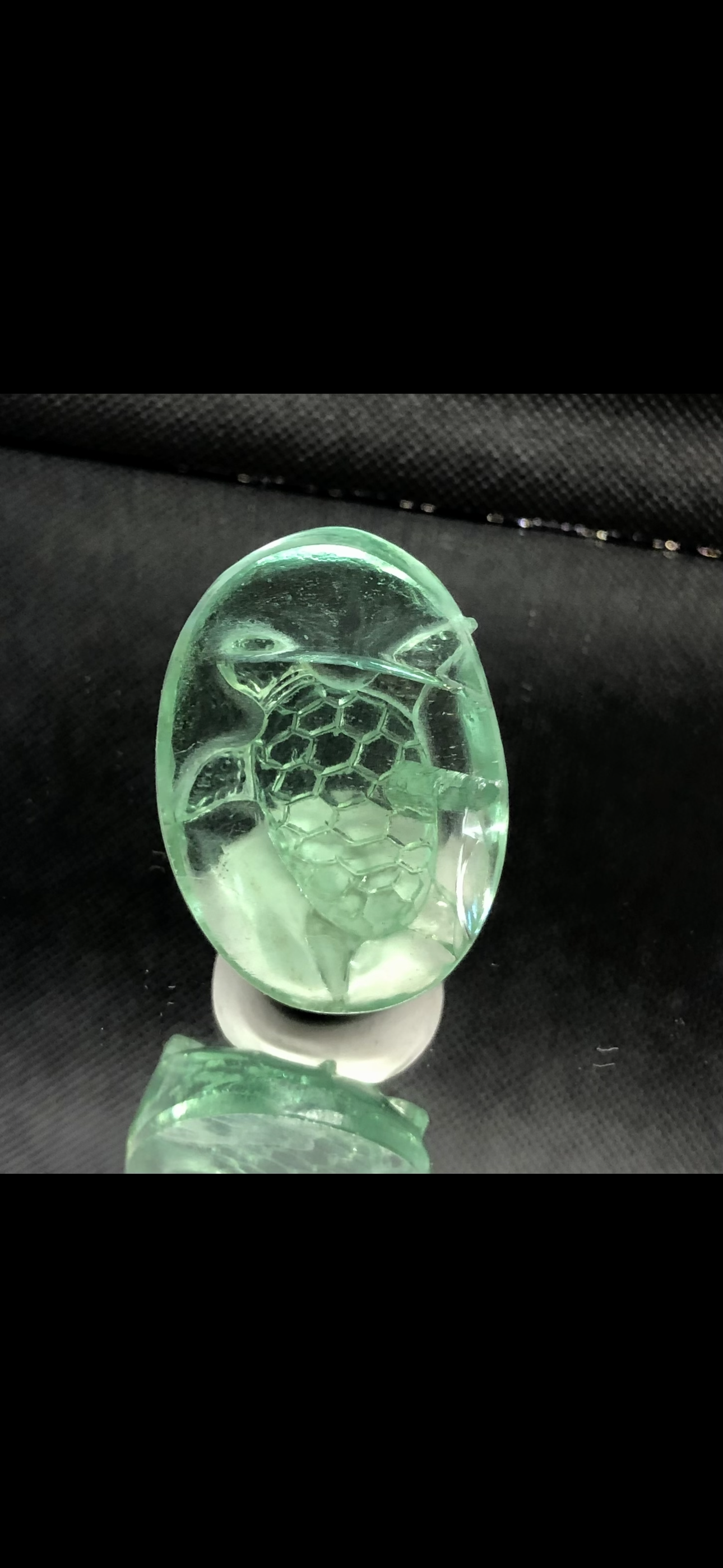 碧海寿亀　アンダラクリステル