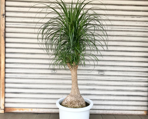 8e7c1e4b63a8406a1785476cbf77ee