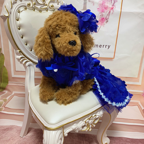 犬猫うさちゃん服 小花に包まれたロイヤルブルーのカラードレス