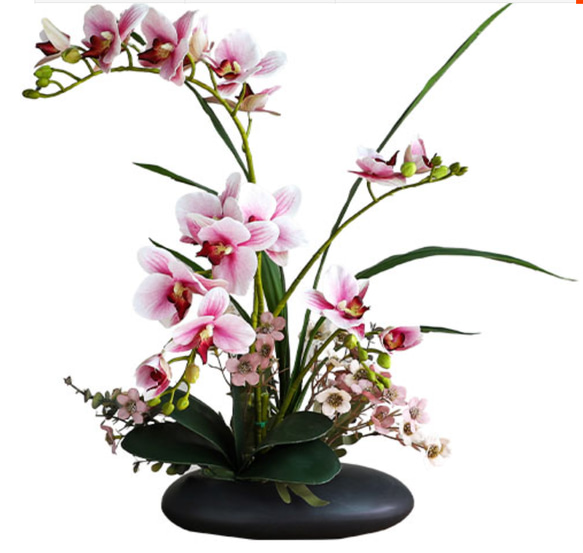 胡蝶蘭 盆栽 鉢植え フラワーアート フラワーアレンジメント