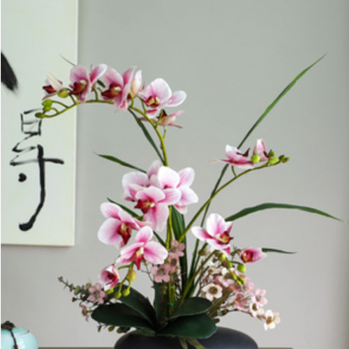 胡蝶蘭 盆栽 鉢植え フラワーアート フラワーアレンジメント