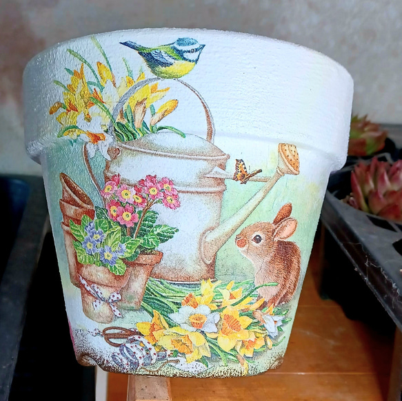 森の仲間たち〜リメイク鉢4個セット2.5号 多肉の寄せ植え