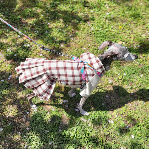 イタグレ服 チェック柄ワンピース 2段プリーツスカート ペット服