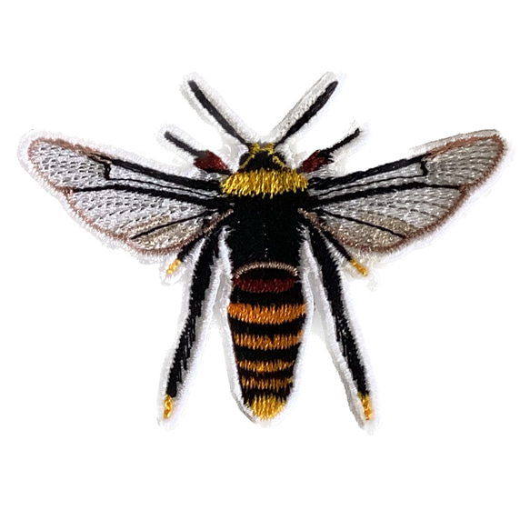 【昆虫　ワッペン】Moth（蛾）シリーズ　クビアカスカシバ 1枚目の画像
