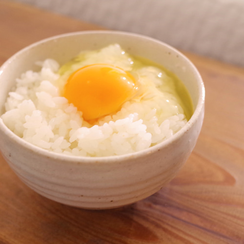 卵かけご飯様用 卵かけご飯用茶碗 茶碗・めし碗 けいすいがま 通販 15741683
