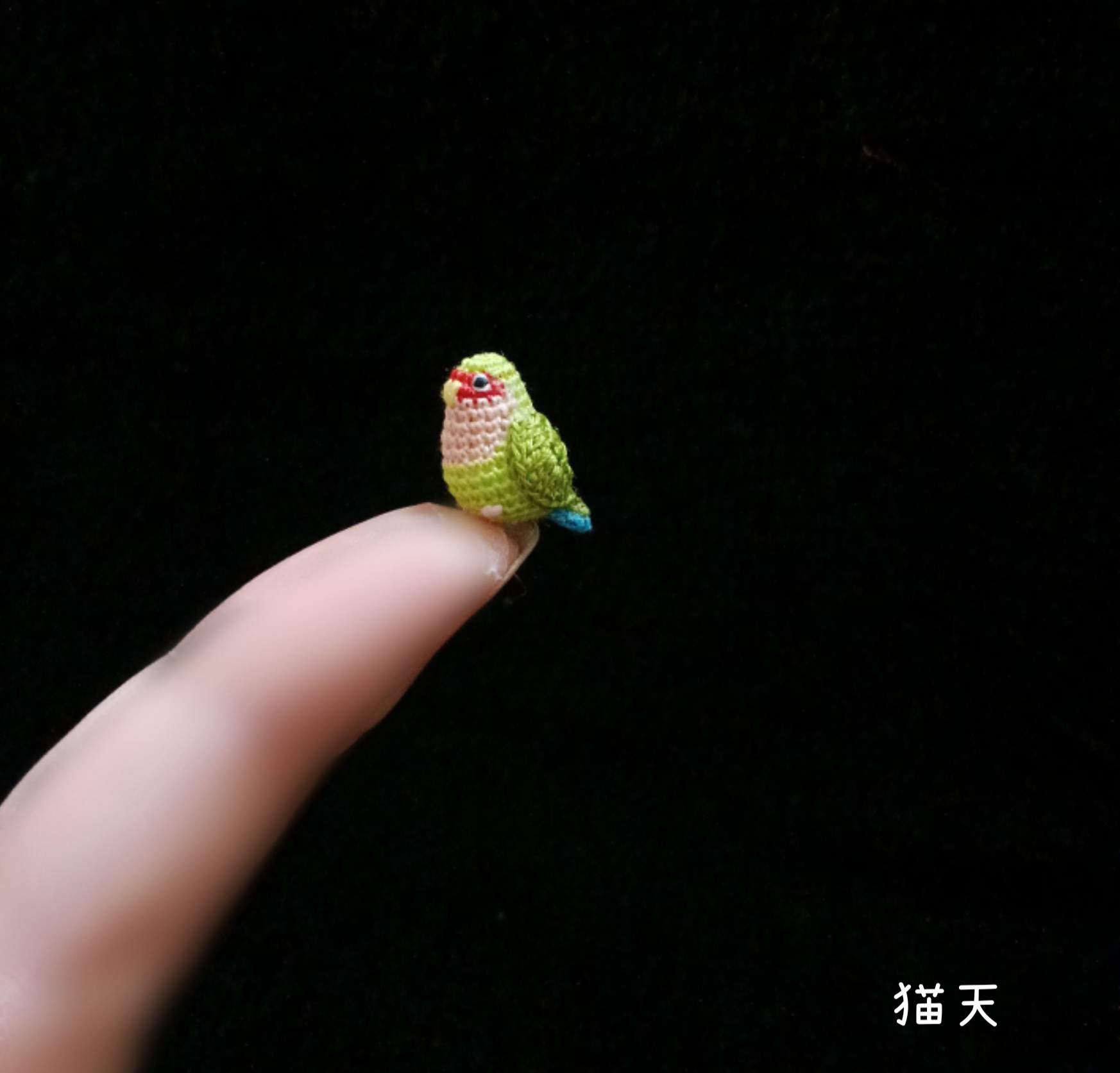 みみ　水彩画 月夜のコザクラインコ　値段は600円です みみ 水彩画 月夜のコザクラインコ 値段は600円です