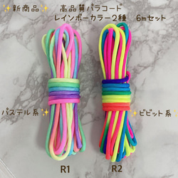 高品質 パラコード 4mm7芯 6m 2本セット バックル付 リード レインボー