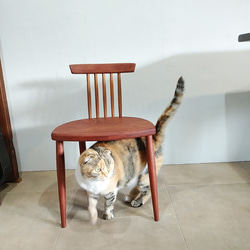 SALE❗️丸太椅子・スツール 欅の木塊 ディスプレイにも。 椅子