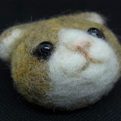 【羊毛フェルト】猫さんブローチ 2枚目の画像