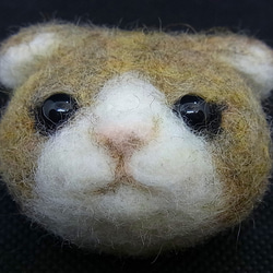 【羊毛フェルト】猫さんブローチ 1枚目の画像