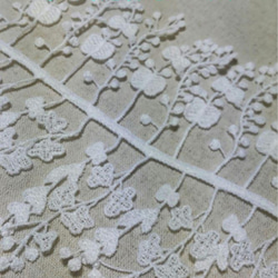 サマーポインセチア♡抜き苗 8〜20苗くらい 多肉植物 黄色いスコップ