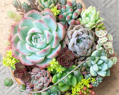 3f5da0d35f95f039c87c3b49f21dbe