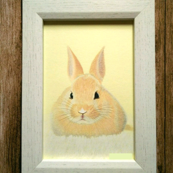 【お取り寄せ】 リアル色鉛筆画【原画】NO.11 うさぎの絵 鳳雛 絵画 手描き 絵画
