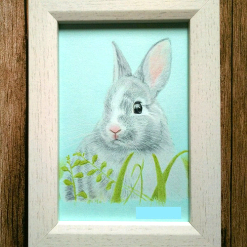 リアル色鉛筆画【原画】NO.12 うさぎの絵 手描き 絵画 鳳雛
