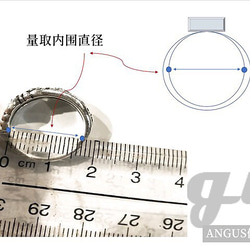 【新品】重生骷髏/戒指/純銀 第6張的照片