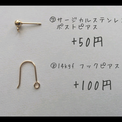 チェコガラス イチゴ ピアス イヤリング 果物 フルーツ 赤 5枚目の画像