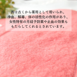 ☆ラスト1点☆布ナプキン〈 Sサイズ  茜染め〉╱艶 13枚目の画像