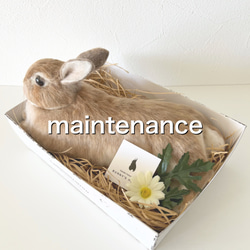 オーダーメイド】【LLサイズ】羊毛フェルト うさぎ ペット うち オーダーメイド】【LLサイズ】羊毛フェルト うさぎ ペット うち
