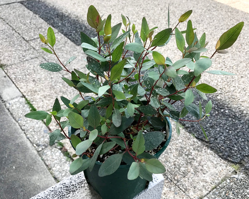 5bceee085e697b6cb96d7c1c737adf