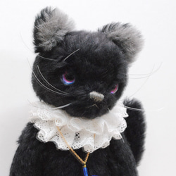 黒色の猫　レースの襟飾り 1枚目の画像