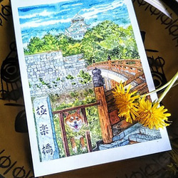 若葉に萌える大阪城と柴犬さんのポストカード 6枚目の画像