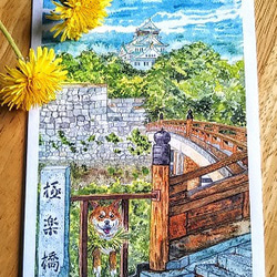 若葉に萌える大阪城と柴犬さんのポストカード 2枚目の画像