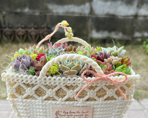 1fe731eea21cbf848e18d988b43c7b