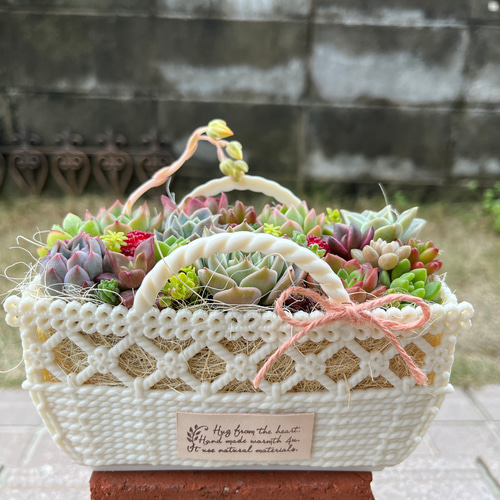多肉植物 ♡そのまま飾れる寄せ植え♡大きなバスケット♬*° 多肉植物寄せ植え そのまま飾れる 大きなかご寄せ☆* ☆多肉植物 寄せ植え