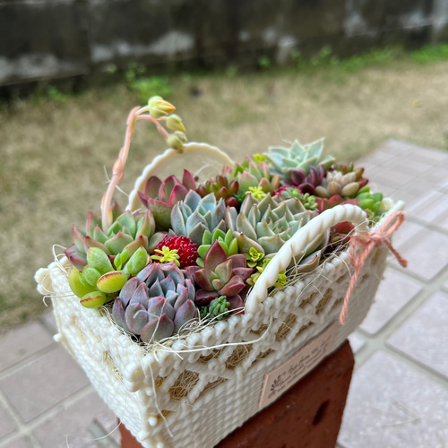 受注制作】☆送料無料☆♡そのまま飾れる♡バスケット♬多肉植物寄せ