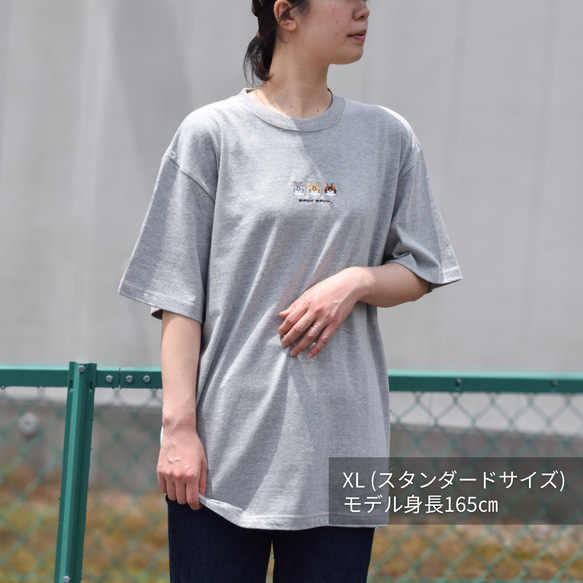  第15張的照片