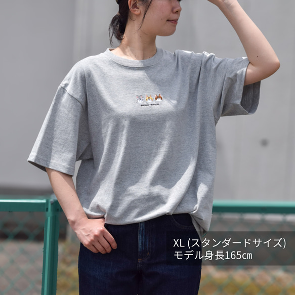  第20張的照片
