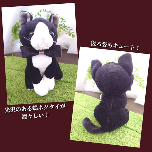 世界に一つ】ウェルカムドール 手作り ねこ ネコ 猫 ハチワレ