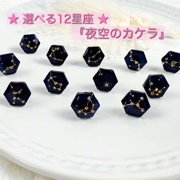選べる 12星座 『 夜空のカケラ 』小ぶりピアス 小さめイヤリング