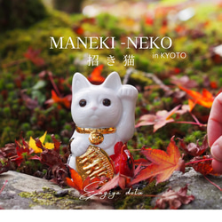 fa51f8a8a9e6a0a3cf1b213b1eb4d7