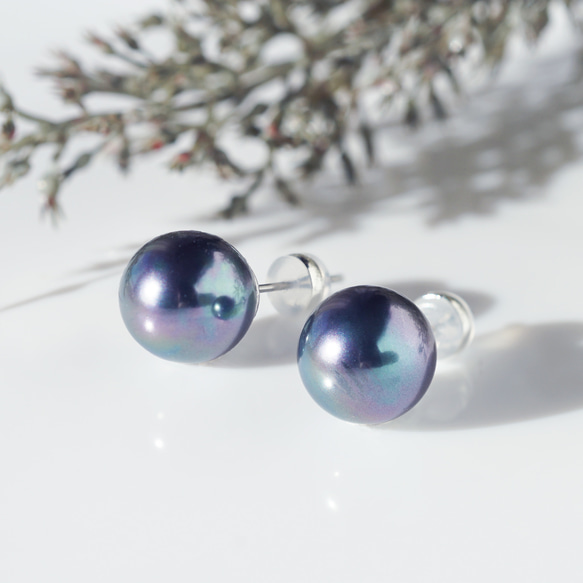 大粒★極上の照り、ピーコックブラック貝パール10mmのスタッドピアス・イヤリング可　～黒揚羽 7枚目の画像