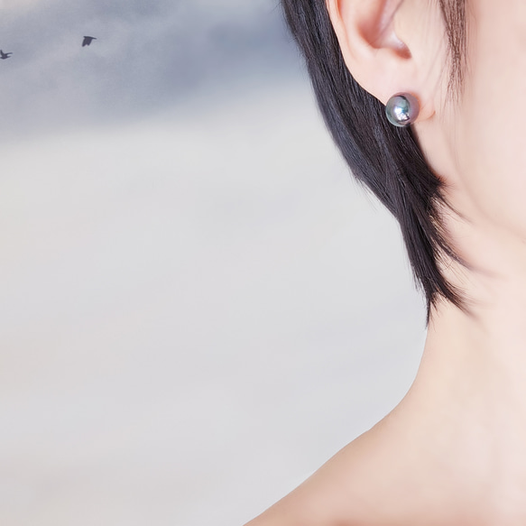 大粒★極上の照り、ピーコックブラック貝パール10mmのスタッドピアス・イヤリング可　～黒揚羽 3枚目の画像