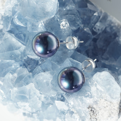 大粒★極上の照り、ピーコックブラック貝パール10mmのスタッドピアス・イヤリング可　～黒揚羽 8枚目の画像