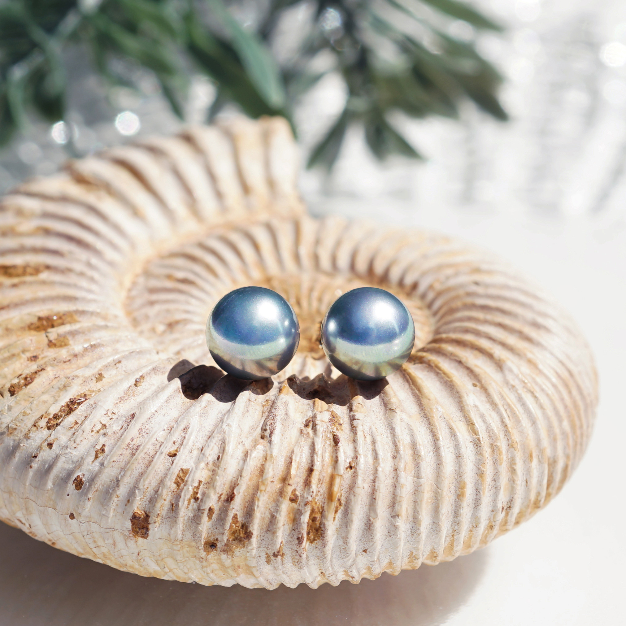 14KGFシルバー貝パール8ｍｍのスタッドピアス　～Pascale