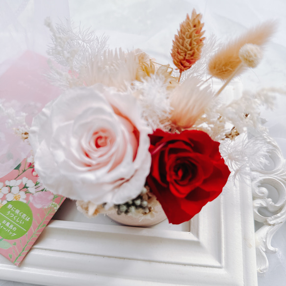 粉紅森林 乾燥花 盆栽 不凋花 玫瑰  婚禮小物 乾燥花 姐妹禮 伴娘禮 婚禮佈置 母親節禮物 第2張的照片