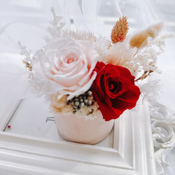 粉紅森林 乾燥花 盆栽 不凋花 玫瑰  婚禮小物 乾燥花 姐妹禮 伴娘禮 婚禮佈置 母親節禮物 第1張的照片