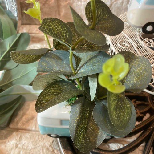 光触媒　人工観葉植物　ウォールグリーン　フェイクグリーン　コンシナトリコロル14 光触媒 人工観葉植物 ウォールグリーン フェイクグリーン