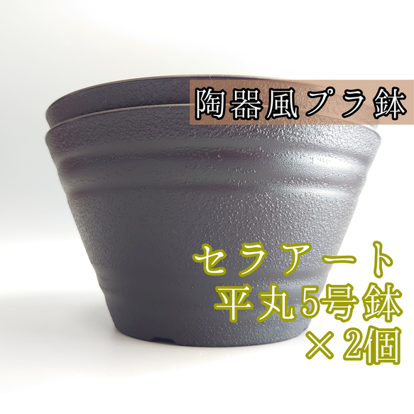 セラアート 黒 5号 2個 平丸鉢 平鉢 プラ鉢 多肉植物 塊根植物