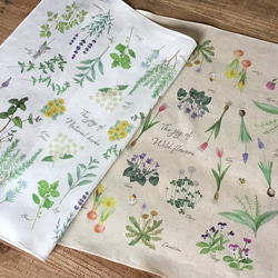 Handkerchief set / Natural herbs & Wild flowers 2枚目の画像