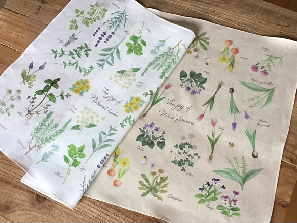 Handkerchief set / Natural herbs & Wild flowers 2枚目の画像