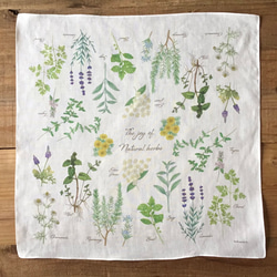 Handkerchief set / Natural herbs & Wild flowers 3枚目の画像