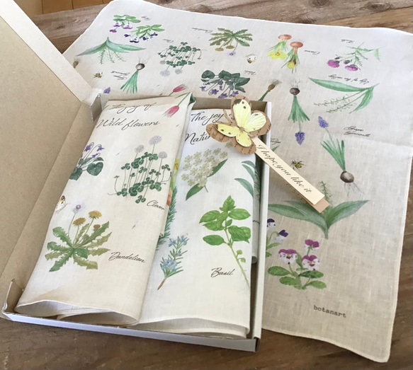 Handkerchief set / Natural herbs & Wild flowers 1枚目の画像