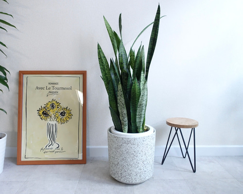 dee10ce0801564b5c50b9b43bc4d70