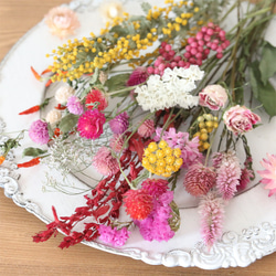 A4サイズ】 18種類 ドライフラワー 花材 詰め合わせ （ ピンク系