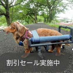 犬の４輪歩行器(はなママ様) 犬の4輪歩行器(はなママ様)